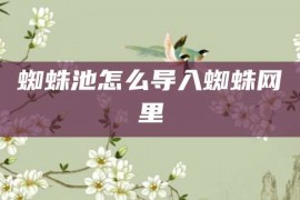 蜘蛛池怎么导入蜘蛛网里