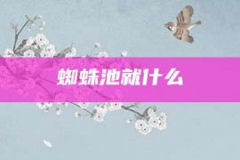 蜘蛛池就什么