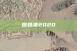 蜘蛛池2020