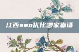 江西seo优化哪家靠谱