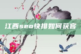 江西seo快排如何获客