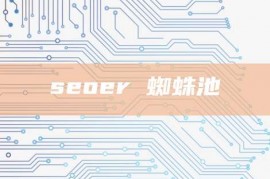 seoer 蜘蛛池