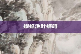 蜘蛛池叶螨吗