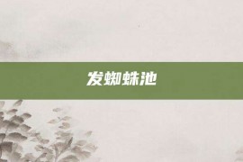 发蜘蛛池