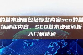 seo的基本步骤包括哪些内容seo的基本步骤包括哪些内容，SEO基本步骤解析，从入门到精通