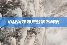 小旋风蜘蛛池效果怎样啊