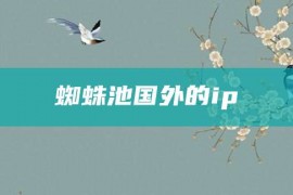 蜘蛛池国外的ip