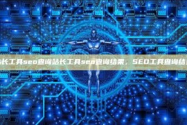 站长工具seo查询站长工具seo查询结果，SEO工具查询结果