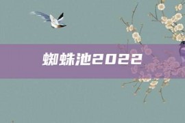 蜘蛛池2022