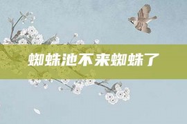 蜘蛛池不来蜘蛛了