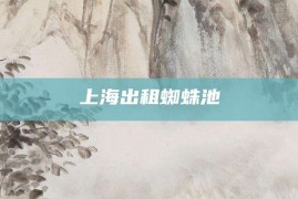 上海出租蜘蛛池