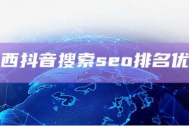 江西抖音搜索seo排名优化