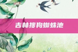 吉林搜狗蜘蛛池