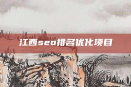 江西seo排名优化项目