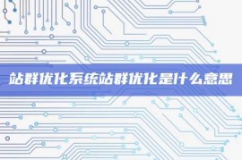 站群优化系统站群优化是什么意思