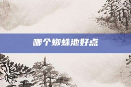 哪个蜘蛛池好点