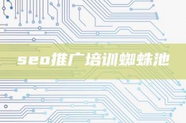 seo推广培训蜘蛛池