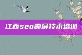 江西seo霸屏技术培训