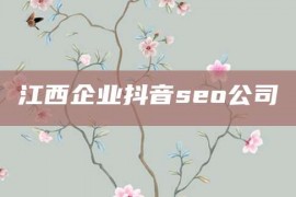 江西企业抖音seo公司