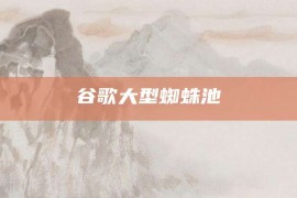 谷歌大型蜘蛛池