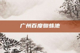 广州百度蜘蛛池