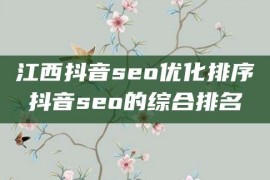 江西抖音seo优化排序抖音seo的综合排名