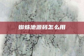 蜘蛛池源码怎么用