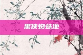 黑侠蜘蛛池