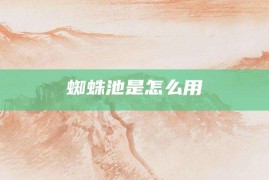 蜘蛛池是怎么用