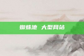 蜘蛛池 大型网站