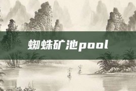 蜘蛛矿池pool