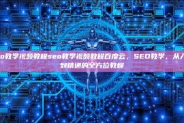 seo教学视频教程seo教学视频教程百度云，SEO教学，从入门到精通的全方位教程