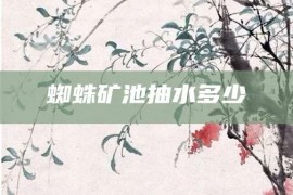 蜘蛛矿池抽水多少