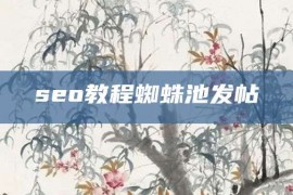 seo教程蜘蛛池发帖