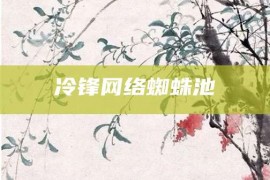 冷锋网络蜘蛛池