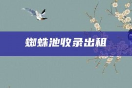 蜘蛛池收录出租