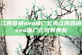 江西营销seo推广公司江西营销seo推广公司有哪些