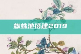 蜘蛛池搭建2019