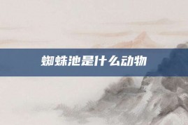 蜘蛛池是什么动物