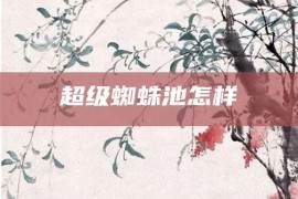 超级蜘蛛池怎样