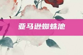 亚马逊蜘蛛池