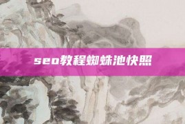 seo教程蜘蛛池快照