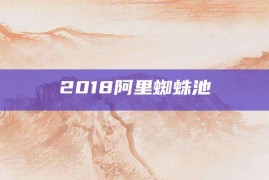 2018阿里蜘蛛池