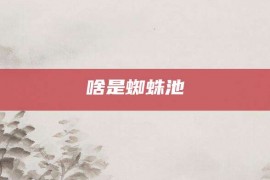 啥是蜘蛛池