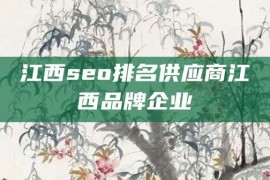 江西seo排名供应商江西品牌企业