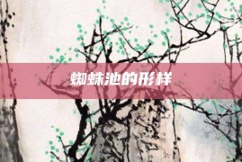 蜘蛛池的形样