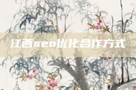 江西seo优化合作方式