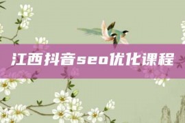 江西抖音seo优化课程