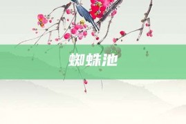 蜘蛛池