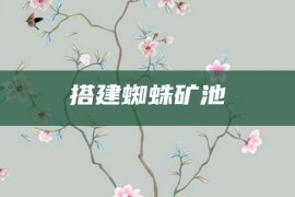 搭建蜘蛛矿池